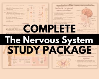 May include: A colorful study guide for the human nervous system. The guide includes diagrams of the brain, spinal cord, and peripheral nerves. The text includes the words "Complete The Nervous System Study Package".