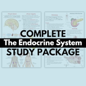 7 Pages MCAT Biology Chapter 5 - The Endocrine System (Study Notes) | Medical School | Nurse Study Notes | Medical School | Nursing Notes