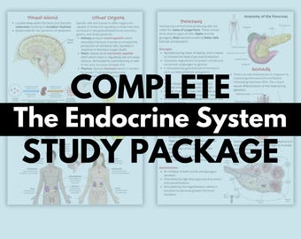 May include: A study package titled "COMPLETE The Endocrine System STUDY PACKAGE" with diagrams of the pineal gland, other organs, pancreas, and gonads. The diagrams are on a light blue background.