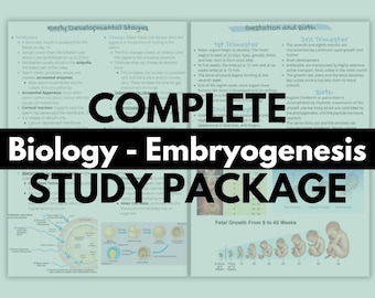 6 sidor Biologi Kapitel 3 - Embryogenes och utveckling (MCAT-studieanteckningar) | Läkarutbildningen | Premed-studieanteckningar | Anatomi och fysiologi