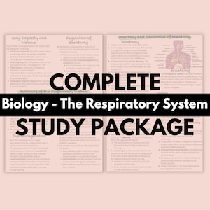 3 Pages Biology Chapter 6 - The Respiratory System (MCAT Study Notes) | MCAT Study Notes | Medical School Notes | Nurse Notes | Nurse Notes