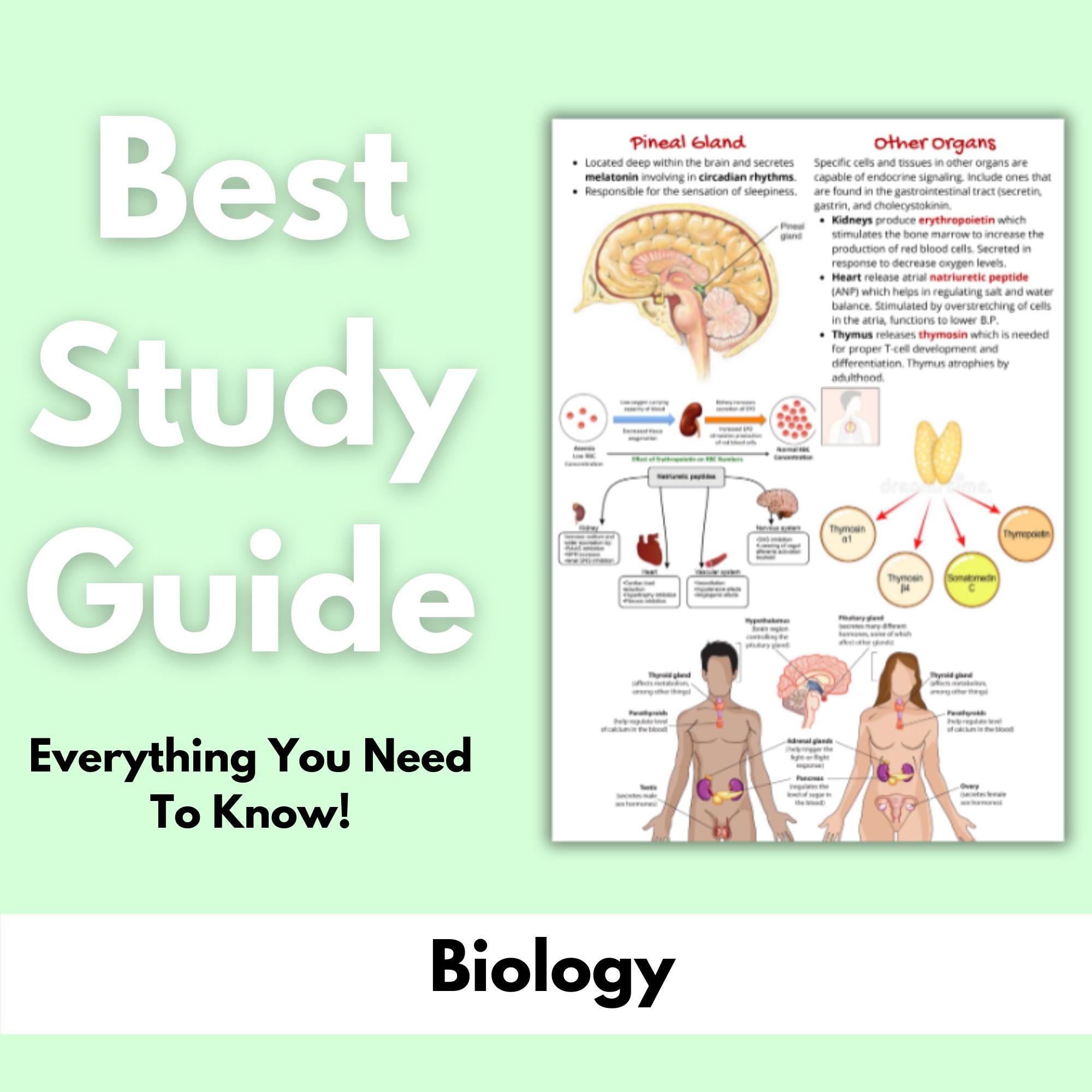 75+ Pages of Biology Study Notes | Complete Review | Nurse Lecture ...