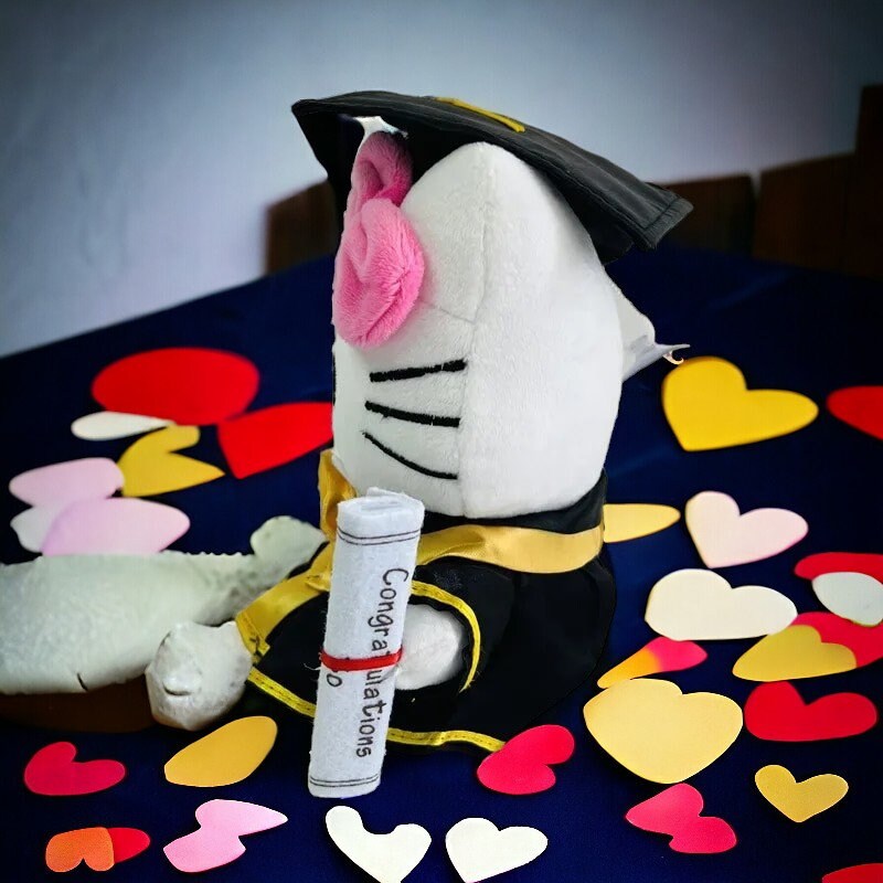 2024 Sanrio Hello Kitty Graduation Plush Toy Anime Cartoon Soft Stuffed