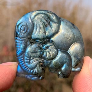1.5''+ Natural Labradorite quartz crystal,hand carved Crystal Elephant skull,Home Decoration Gifts 1pc