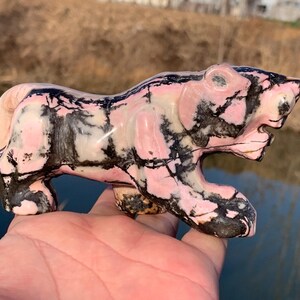 5.9&#39;&#39;+ Natural Rhodonite quartz,quartz crystal,hand carved,Crystal Tiger,Tiger skull,Home Decoration Crystal Gifts 1pc
