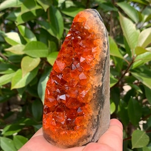 Pode incluir: Agrupamento de cristais laranja com um exterior natural e áspero. O cristal é uma geoda, com um centro oco forrado com cristais laranja.