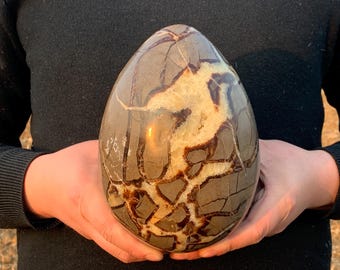 Natürlicher Drache Septular Geode Quarz, Quarzkristall, Kristallmineralei, Kristallei-Schädelprobe, Innendekoration Kristallgeschenke gelegentlich 1PC