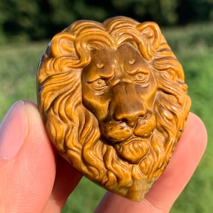 May include: A carved lion's head sculpture in shades of brown and gold. The sculpture is detailed with a mane, facial features, and a slightly open mouth. The stone has a polished finish, and the sculpture is held in a hand.