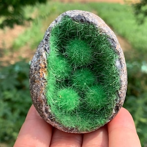 Puede incluir: Una geoda de piedra natural con un exterior rugoso y texturizado y un interior verde vibrante, similar a un cristal. La geoda se sostiene en una mano, con un fondo verde borroso.