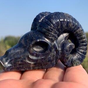 3.1''+ Natural Sodalite quartz,quartz crystal,hand carved,Crystal Sheep,Sheep skull,Home Decoration Crystal Gifts 1pc