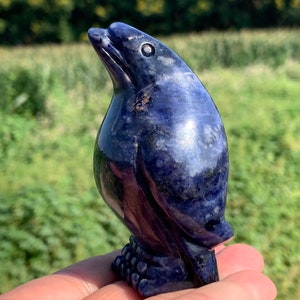 3.5&#39;&#39;+ Natural Sodalite quartz,quartz crystal,hand carved,Crystal Bird,Bird skull,Home Decoration Crystal Gifts 1pc