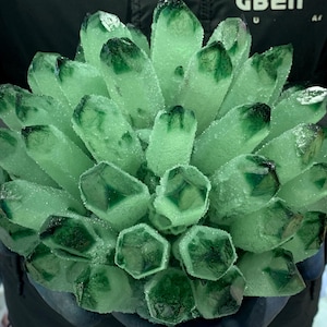 Beautiful Green quartz Cluster,quartz crystal,Crystal Cluster,Crystal specimen,Crystal Vug,Home Decoration Crystal Gifts 1pc