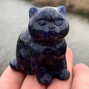 2''+ Natural Sodalite quartz,quartz crystal,hand carved,Crystal Cat,Cat Skull,Home Decoration Crystal Gifts 1pc