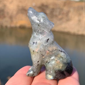 May include: A small, grey labradorite wolf sculpture with iridescent accents. The wolf is carved in a sitting position with its head tilted up.