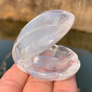 2.2&#39;&#39;+ Natural Clear quartz,quartz crystal,hand carved,Crystal Shell,Shell skull,Home Decoration Crystal Gifts 1pc