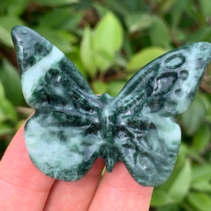 2.2&#39;&#39; + Natural Aquatic Agate quartz,quartz crystal,hand carved,Crystal Butterfly,Butterfly skull Specimen,Home Decoration Crystal Gifts 1pc