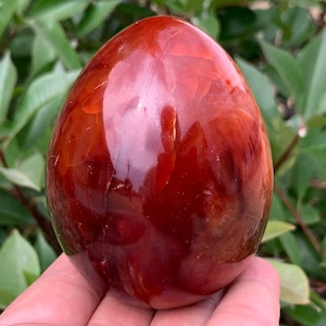Op de afbeelding: Een glad, gepolijst carneol-ei met een dieprode kleur en ingewikkelde bandpatronen. Het ei wordt in een hand gehouden, waardoor de grootte en vorm worden benadrukt.