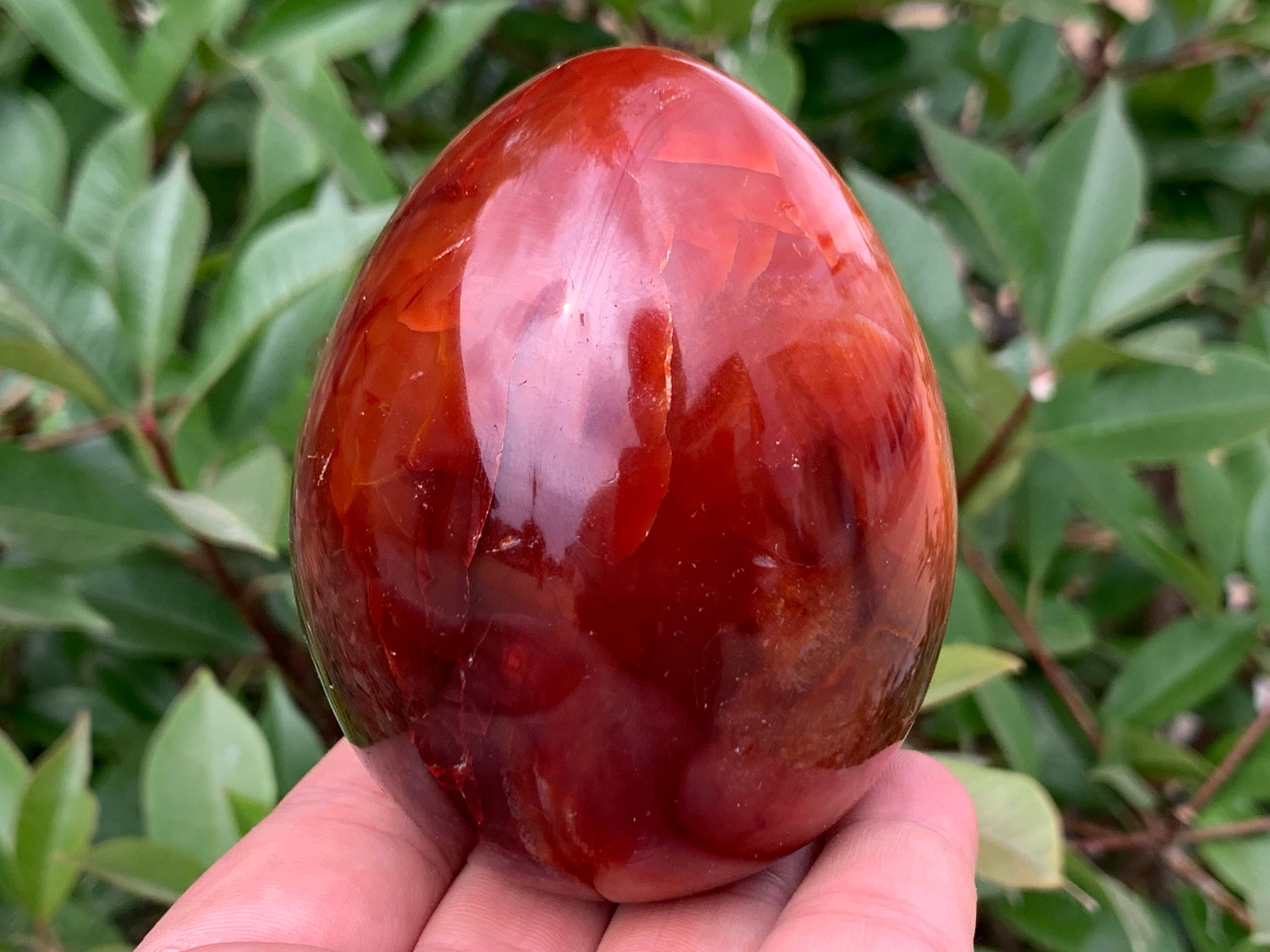 Carnelian Egg - Etsy