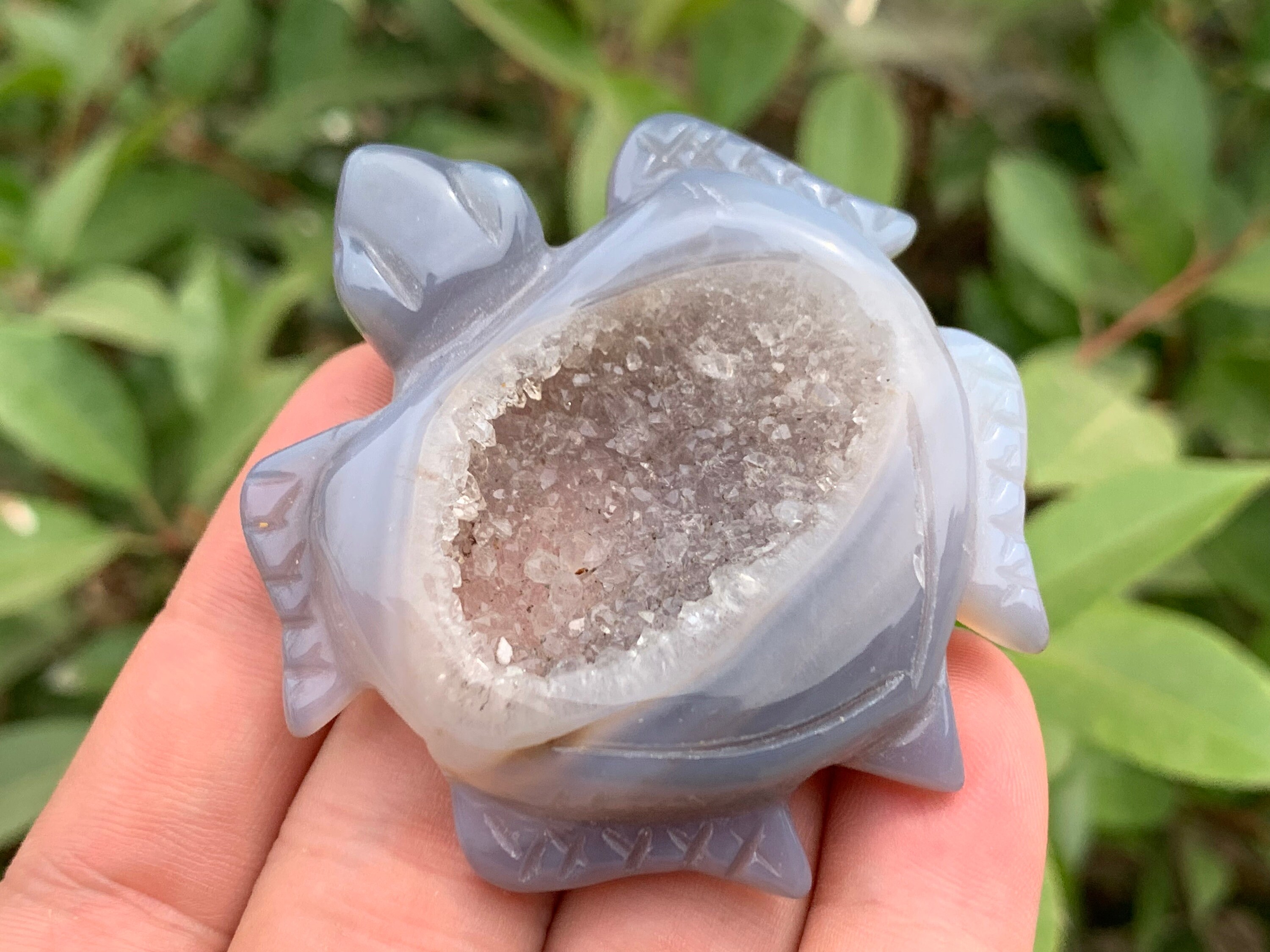 瑪瑙ジオード水晶亀の標本：手彫りクリスタルギフト - Etsy 日本
