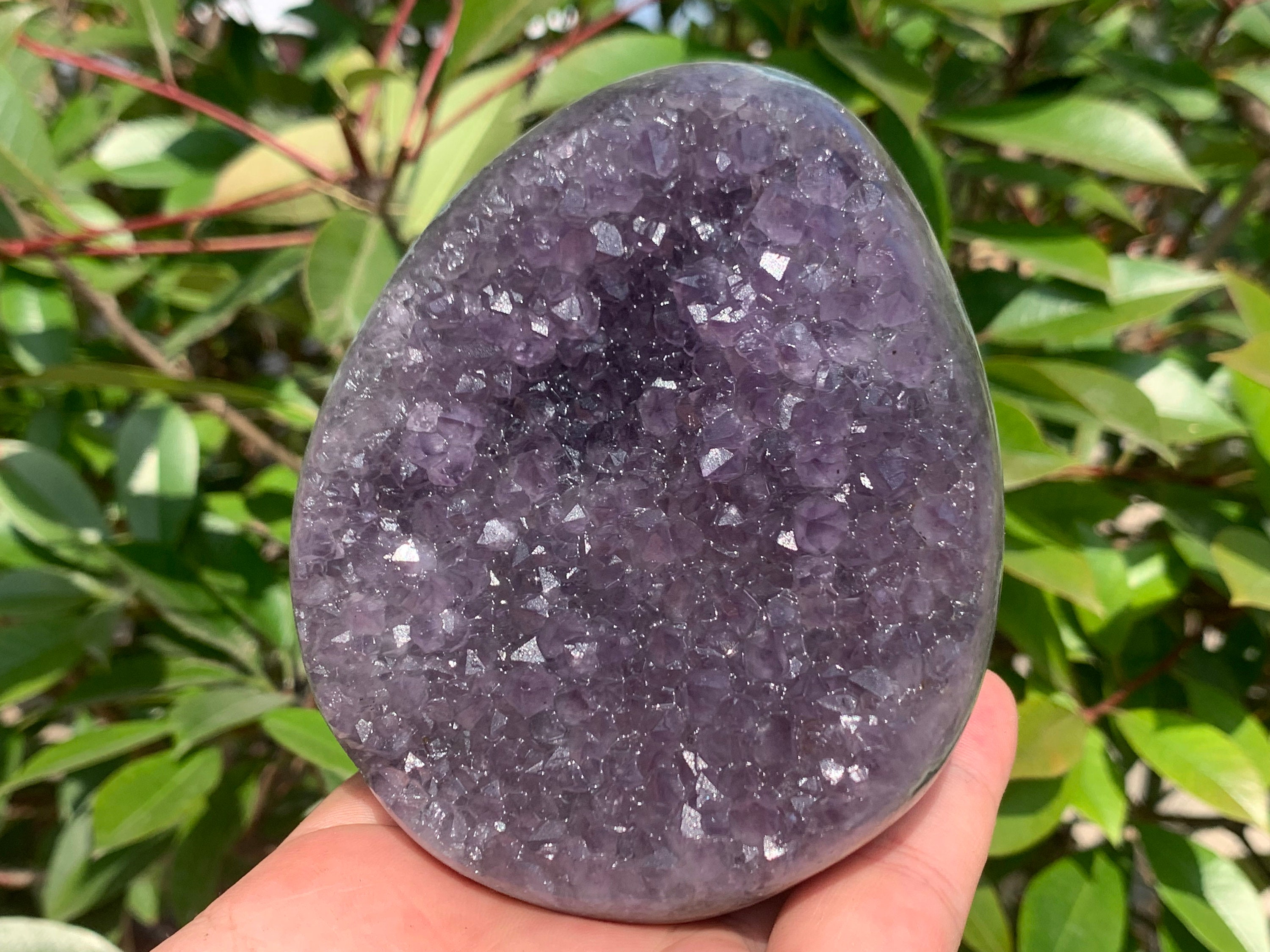 4インチ以上の天然アメジストジオードクラスター、水晶、水晶