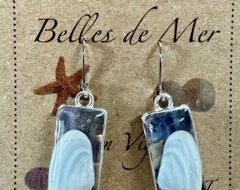 Clam shell and mussel earrings