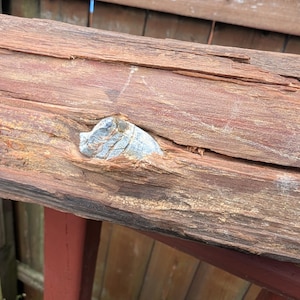 Antique Civil War War Log From A Cold Harbor Virginia Battlefield Witness Tree With An Imbedded Bullet .  Civil War Relic