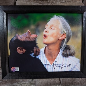 Autographed Jane Goodall 8x10 inch framed photo with certificate of authenticity from Beckett