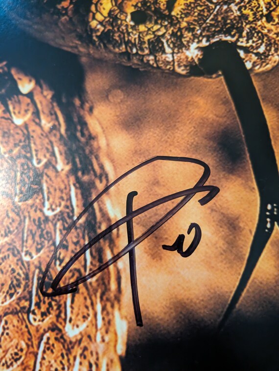 パンテラ PANTERA 直筆サイン 色紙 ポストカード ヴィンテージ