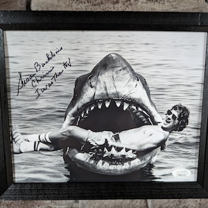 Susan backlinie - Etsy 日本