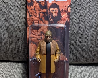 ギター界のレジェンド、スティーヴ・ヴァイのサイン入り8 x 10インチ額