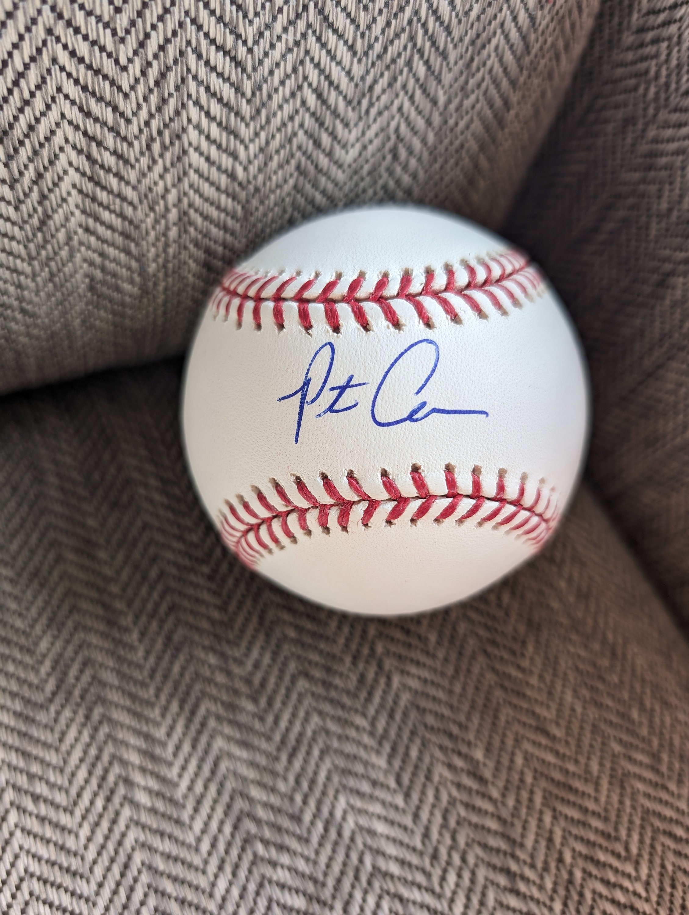 Autographed the Polar Bear Pete Alonso N.Y. Mets Official Major League