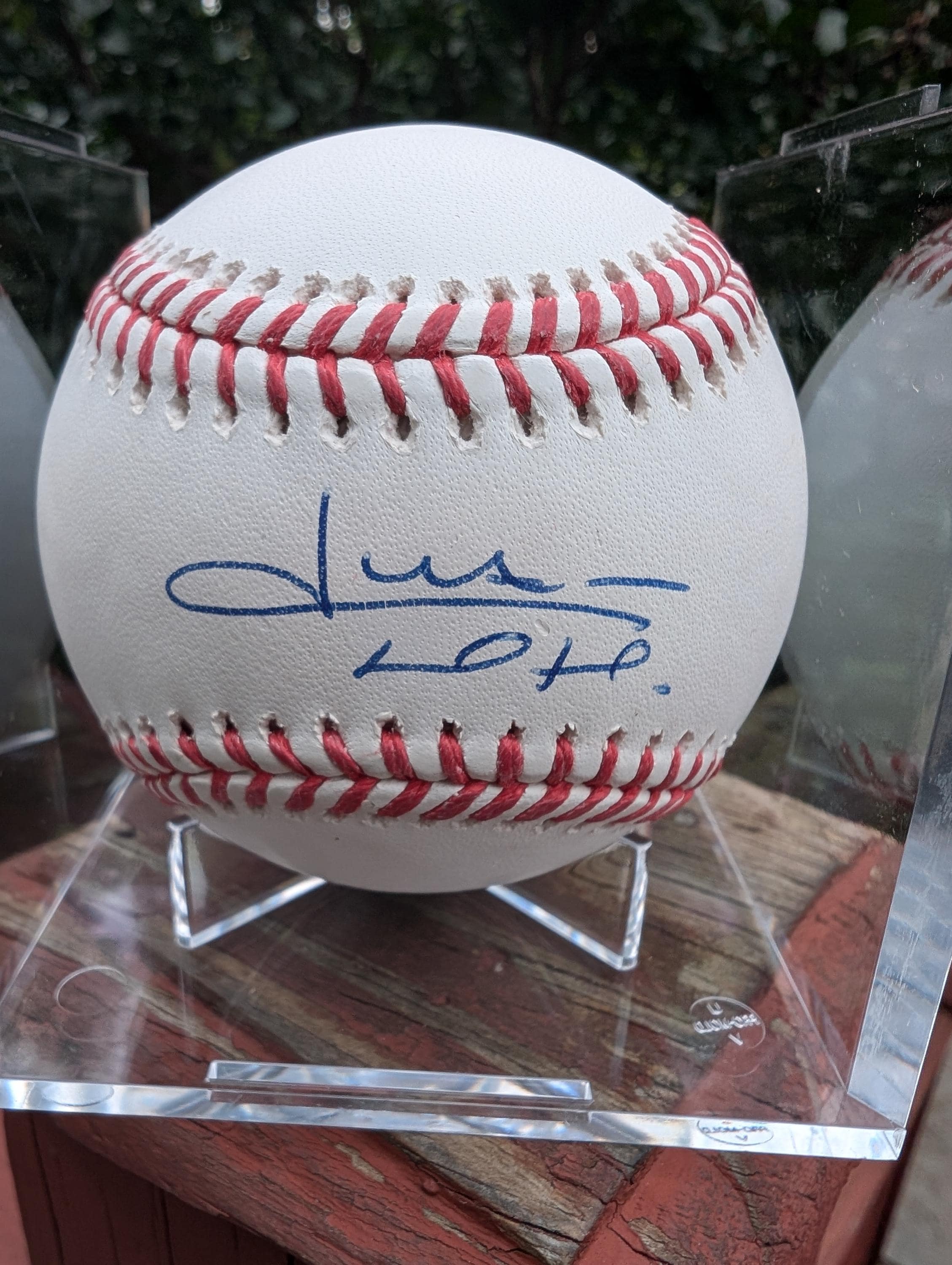 フアン・ソトのサイン入り、ニューヨーク・メッツ、ニューヨーク