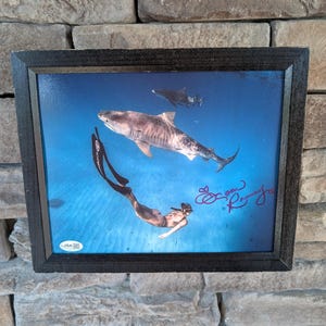 Damien hirst shark - Etsy 日本