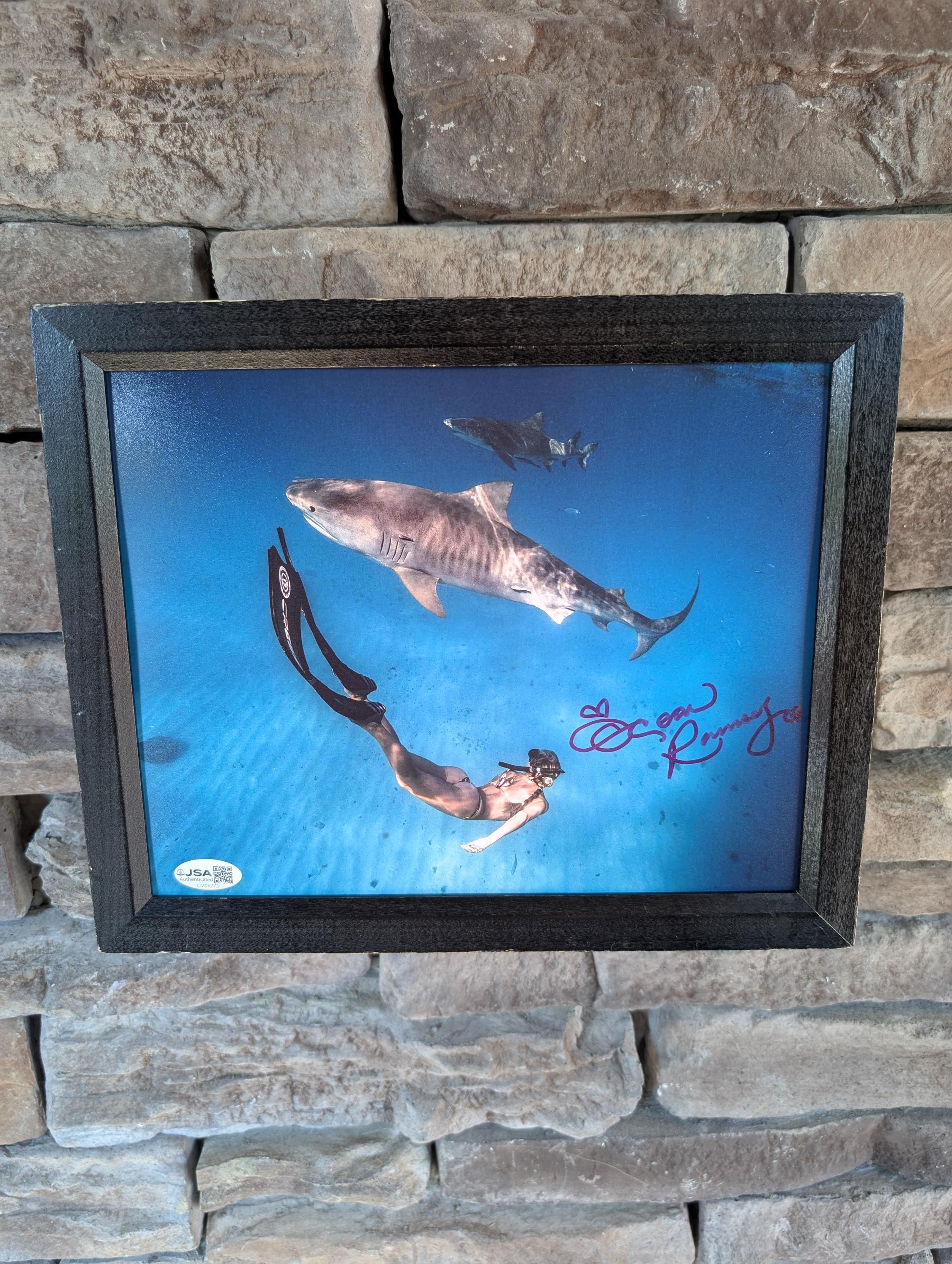 Damien hirst shark - Etsy 日本