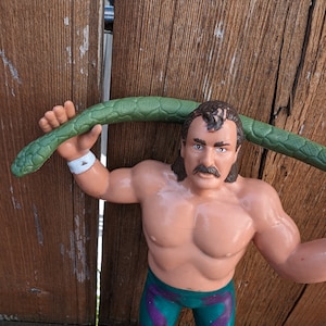 Peut inclure: Une figurine d'action de lutte tenant un jouet de serpent en plastique vert. La figurine porte un short de lutte violet et vert.