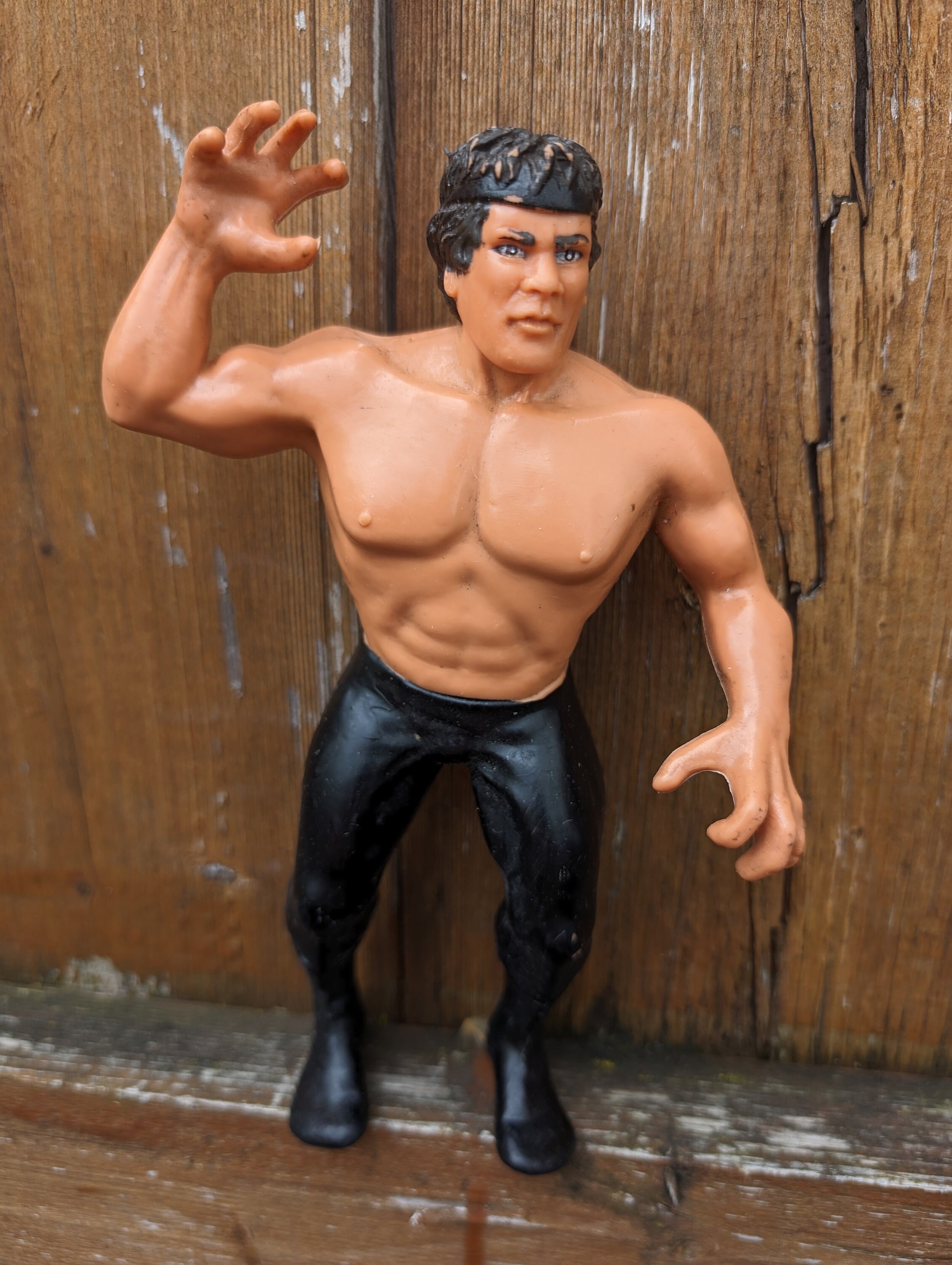 Vintage 1980s WWF WWE LJN Titan Sports Ricky the Dragon