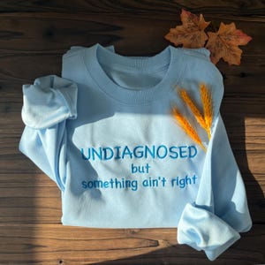 Op de afbeelding: Een lichtblauw sweatshirt met de tekst "UNDIAGNOSED but something ain't right" geborduurd in blauw.