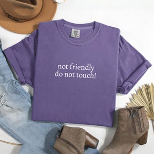 Not Friendly Do Not Touch! Shirt, Funny Humor Shirt, Sarcasm Shirt, Adult Humor Shirt, Funny Trendy Shirt for Women