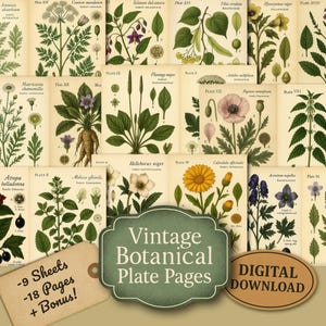 Vintage Botanical Junk Journal Pages - Kit imprimable Junk Journal - Lettre US