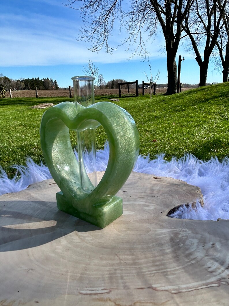 Heart Shaped Propagation station, monstera adansonii, resin, cuttings, plants, tropical plant, hydroponic station, glass tube, decoration image 3