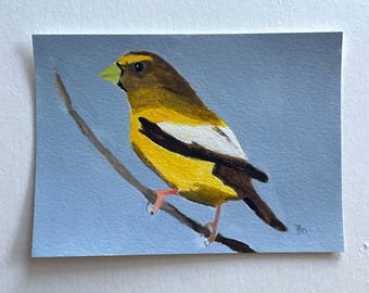 Pintura de picogrueso vespertino: arte original de aves en acuarela acrílica