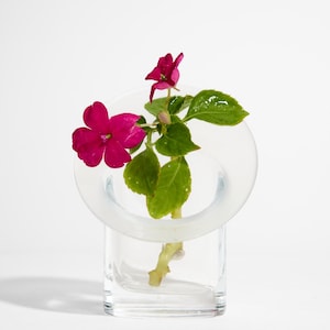 May include: A clear glass vase with a square base and a circular top, holding a stem of vibrant pink flowers and green leaves. The vase is set against a plain white background, highlighting the floral arrangement.