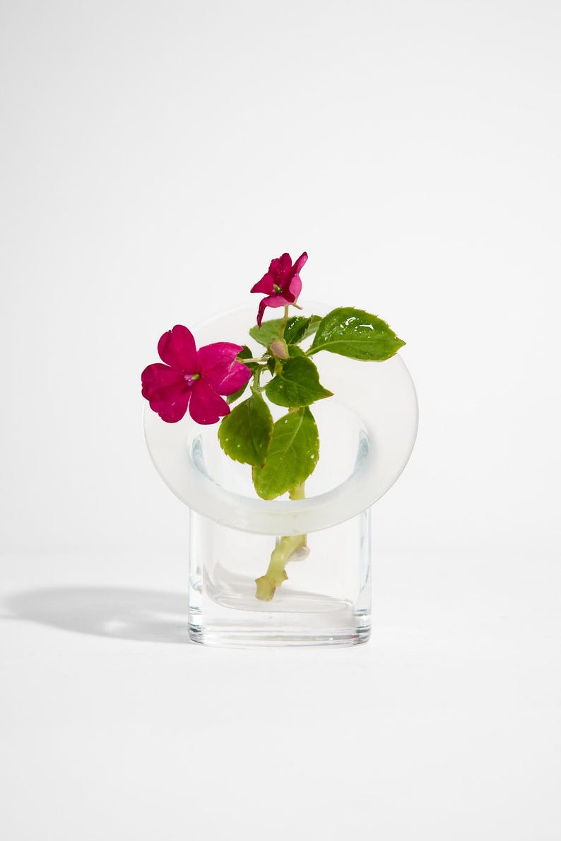 May include: A clear glass vase with a square base and a circular top, holding a stem of vibrant pink flowers and green leaves. The vase is set against a plain white background, highlighting the floral arrangement.