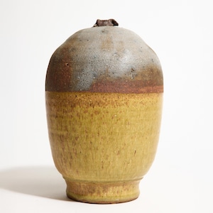 May include: A handcrafted ceramic vase with a unique, organic shape. The vase features a two-tone design, with a light green lower section and a brown and gray upper section. A small, dark brown piece sits atop the vase.