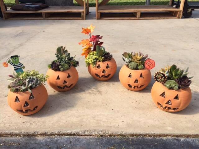 1 Quart Terra Cotta Jack-o'-lantern Pumpkin With Hat From