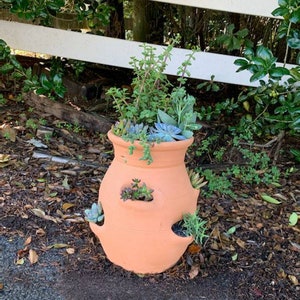 May include: A terracotta strawberry pot filled with various succulents. The pot has multiple openings along its sides, with plants spilling out. The pot is set outdoors near a white fence and greenery.