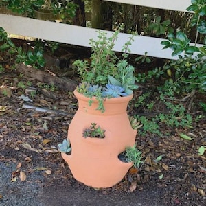 May include: A terracotta strawberry pot filled with various succulents and greenery. The pot has multiple openings along the sides, allowing plants to cascade outwards. The pot is placed outdoors near a white fence and foliage.