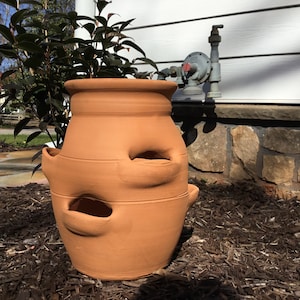 May include: A terracotta strawberry pot with multiple planting pockets. The pot has a wide, rounded base and a flared top. The exterior is a warm, earthy orange-brown color. The pot is designed for growing strawberries or other small plants.