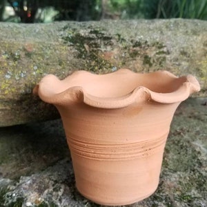 May include: A small, terracotta-colored flower pot with a ruffled rim. The pot has horizontal lines around the middle and sits on a mossy surface. The background is blurred, showing greenery.