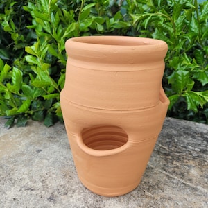 May include: Terracotta planter with multiple holes for planting. The planter is a light brown color and has a rounded shape.
